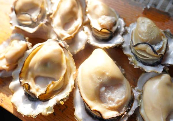 太良町カキ小屋で食す竹崎カキと祐徳稲荷神社・幸姫酒造1